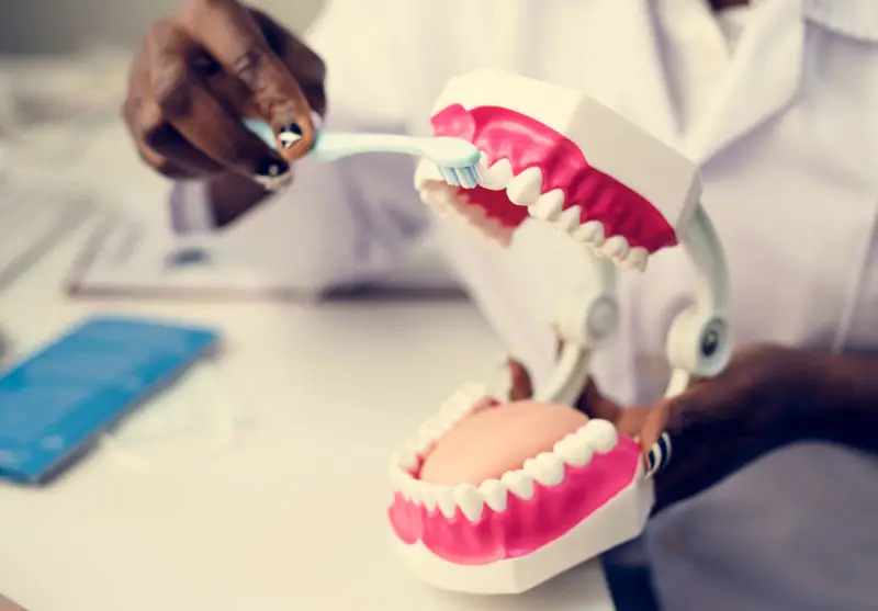 gums